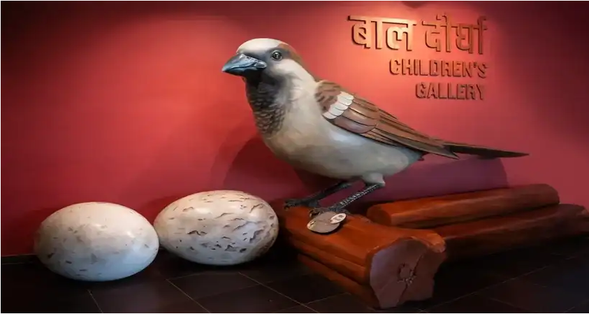 Bihar Museum